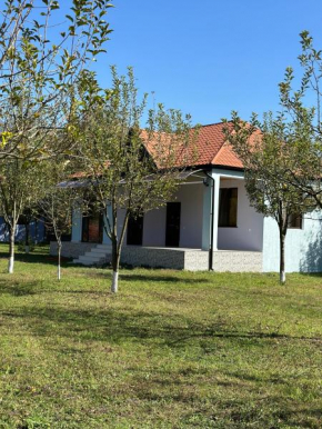 Konak